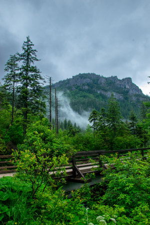 Wooden bridge in the forest with fog in the background in summer. Trail in the Tatra Mountains. Mountain view.の写真素材