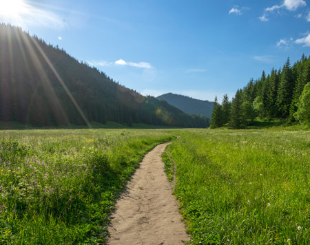 Path on the MaÅa Meadow in the Tatra Mountains. Mountain view. The sun illuminates the mountain peaks.の写真素材