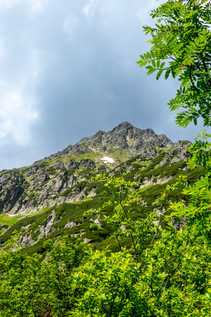 Mountain landscape on a hot summer day. Tourist trail to Roztoka Valley, Tatra Mountains.の写真素材