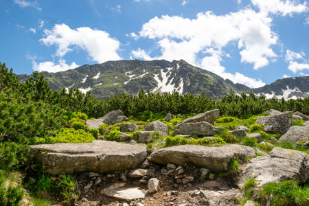 Mountain landscape with large boulders in the foreground. Mountain trail to the Valley of Five Lakes, Tatra Mountains.の写真素材