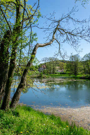 Spring landscape with a lake, trees and a house in the backgroundの写真素材