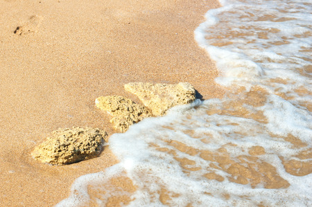 footprints in the sandの写真素材