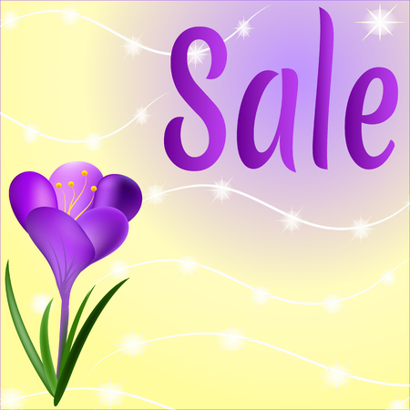 Colorful summer background design with a purple crocus flower. Spring sale banner. Sale of posters, sale of leaflets, sale of vectors.のイラスト素材