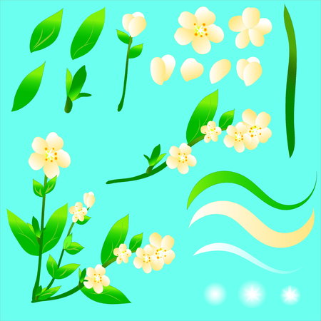 A set of summer yellow flowers and green leaves for drawing up a design. There is a gradient and transparency. EPS 10.のイラスト素材