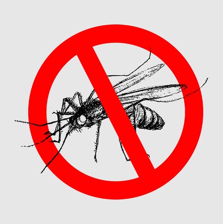 STOP MOSQUITOのイラスト素材