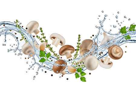 A dynamic composition of various fresh mushrooms and garlic cloves caught mid-splash in clear water, creating an invigorating and appetizing visual for culinary and food-related themes.の素材