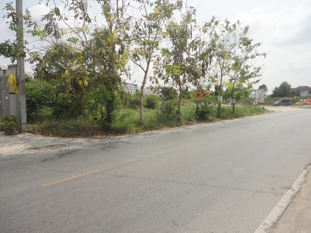 by the side of the roadの写真素材