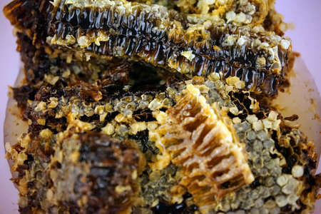 honey kの写真素材