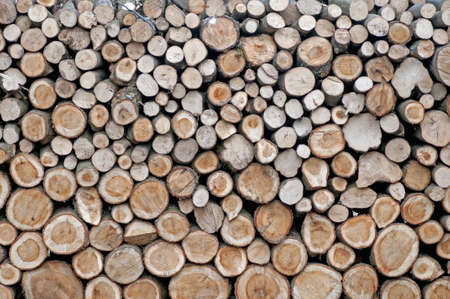 stack, firewood, woodpile, timber, tree, nature, wood for smokingの写真素材