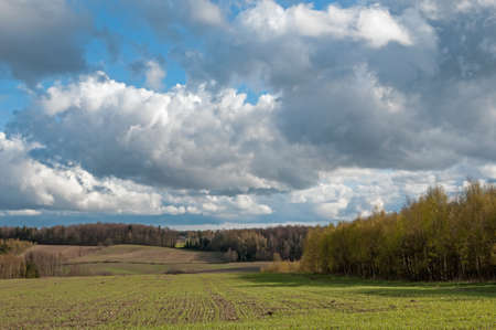 rural landscape in spring, tree, field, summer, grass, Kaszuby, Polandの写真素材