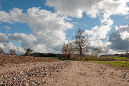 rural landscape in spring, tree, field, summer, grass, Kaszuby, Polandの写真素材