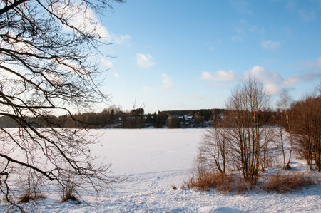 lake, winter, nature, snow, sky, water, tree, iceの写真素材
