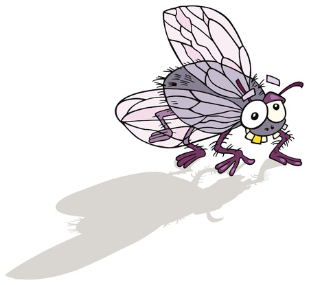 funny flyのイラスト素材