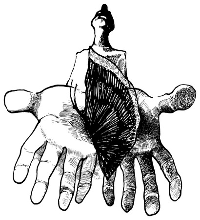 man with butterfly on his handのイラスト素材