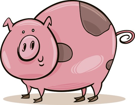 farm animals: spotted pigのイラスト素材