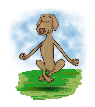 humorous illustration of meditating and levitating dogの写真素材
