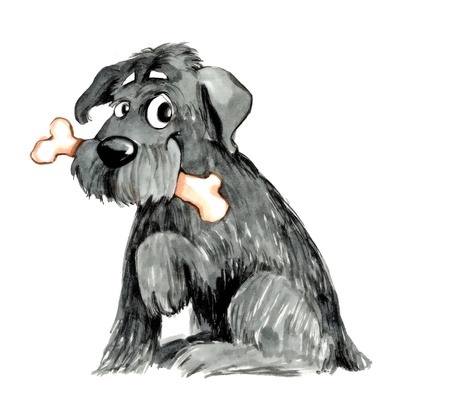 humorous illustration of shaggy dog with boneの写真素材