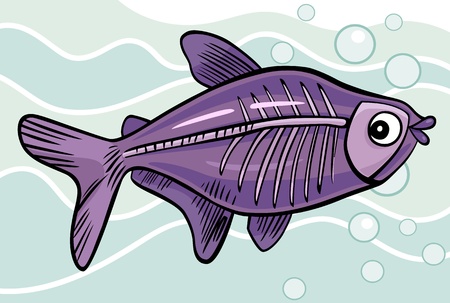 cartoon illustration of x-ray fishのイラスト素材