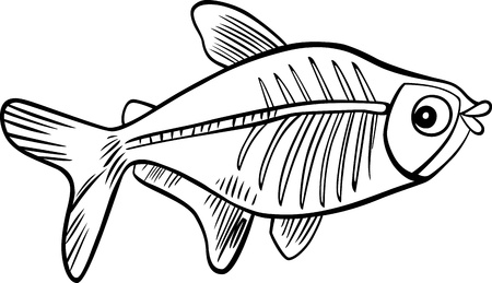 cartoon illustration of x-ray fish for coloring bookのイラスト素材