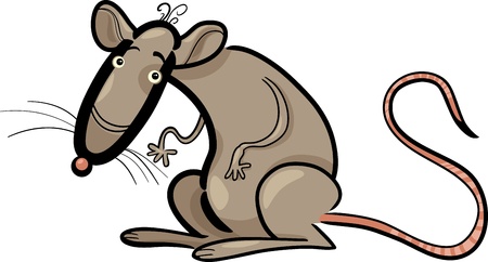Cartoon Humorous Illustration of Rat Animal Characterのイラスト素材