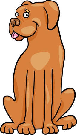 Cartoon Illustration of Funny Purebred Boxer or Bulldog Dogのイラスト素材