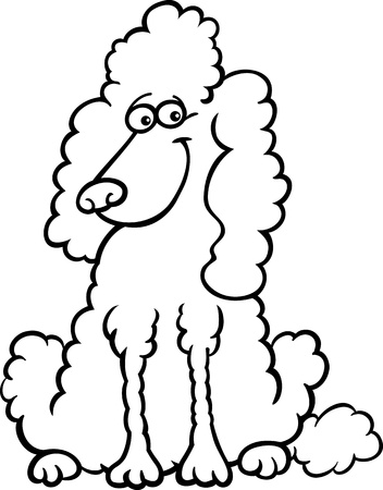 Cartoon Illustration of Funny Purebred White Poodle for Coloring Bookのイラスト素材