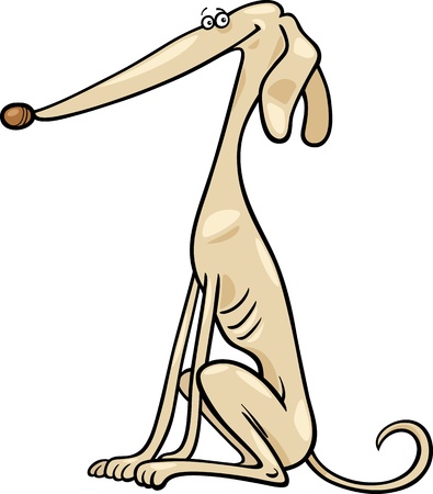 Cartoon Illustration of Funny Purebred Greyhound Dogのイラスト素材