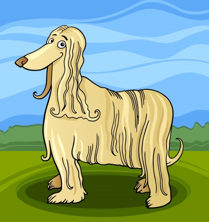 Cartoon Illustration of Funny Long Hair Afghan Hound Dogのイラスト素材