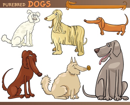 Cartoon Comic Illustration of Canine Breeds or Purebred Dogs Setのイラスト素材