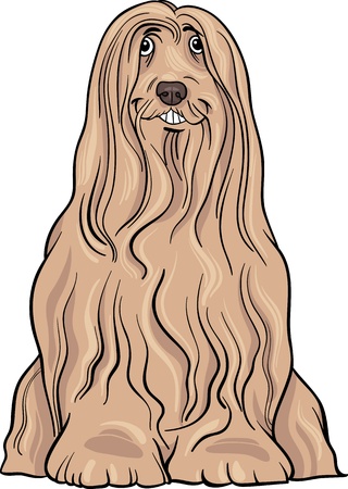 Cartoon Illustration of Cute Bearded Collie Purebred Dogのイラスト素材