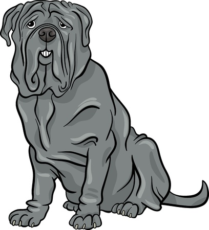 Cartoon Illustration of Cute Neapolitan Mastiff Purebred Dogのイラスト素材