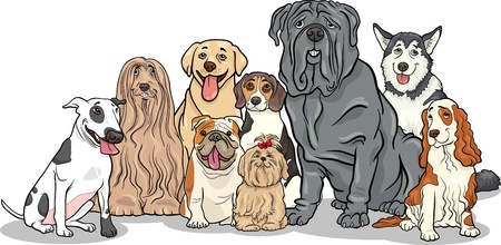 Cartoon Illustration of Funny Purebred Dogs or Puppies Groupのイラスト素材