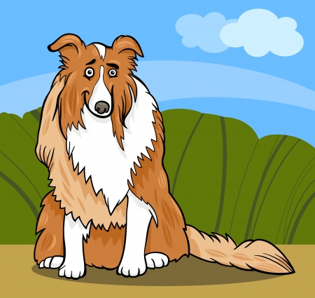 Cartoon Illustration of Funny Collie Purebred Dogのイラスト素材