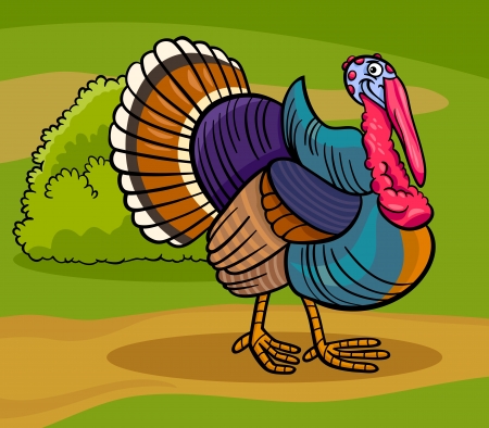 Cartoon Illustration of Funny Comic Turkey Farm Bird Animalのイラスト素材