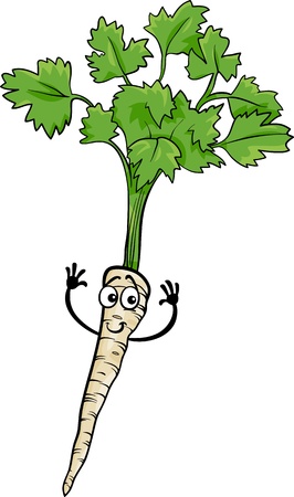 Cartoon Illustration of Funny Comic Parsley Root Vegetable Food Characterのイラスト素材