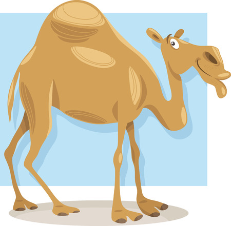 Cartoon Illustration of Funny Dromedary Camel Animalのイラスト素材