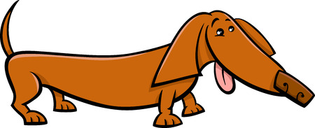 Cartoon Illustration of Funny Purebred Dachshund Dogのイラスト素材