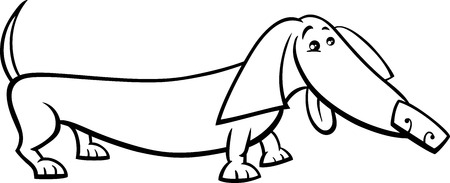 Black and White Cartoon Illustration of Funny Purebred Dachshund Dog for Coloring Bookのイラスト素材