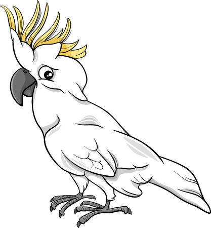 Cartoon Illustration of Funny Cockatoo Parrot Birdのイラスト素材