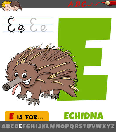 Educational cartoon illustration of letter E from alphabet with echidna animal for childrenのイラスト素材
