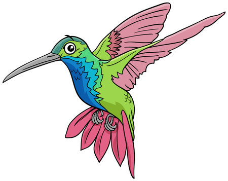 Cartoon illustration of funny hummingbird bird animal characterのイラスト素材