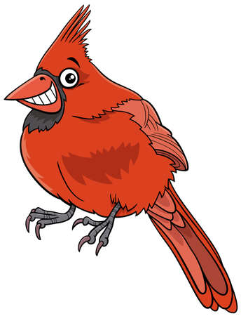 Cartoon illustration of funny northern red cardinal bird animal characterのイラスト素材