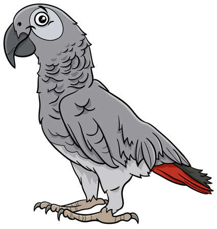 Cartoon illustration of funny grey parrot bird comic animal characterのイラスト素材