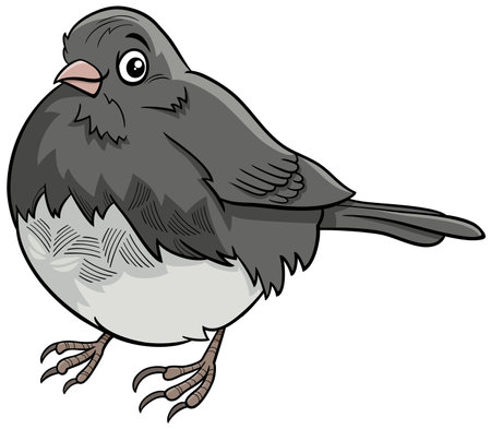 Cartoon illustration of funny junco bird animal characterのイラスト素材