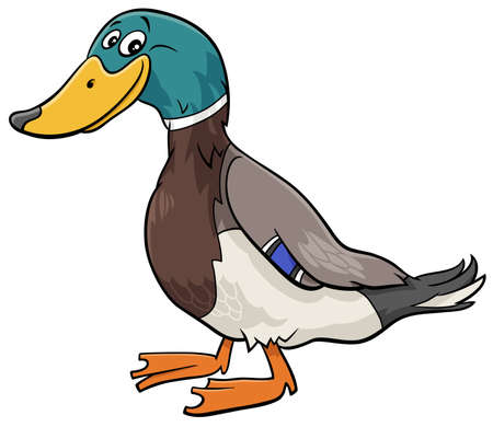 Cartoon illustration of funny wild duck bird animal characterのイラスト素材