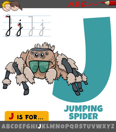 Educational cartoon illustration of letter J from alphabet with jumping spider animal characterのイラスト素材