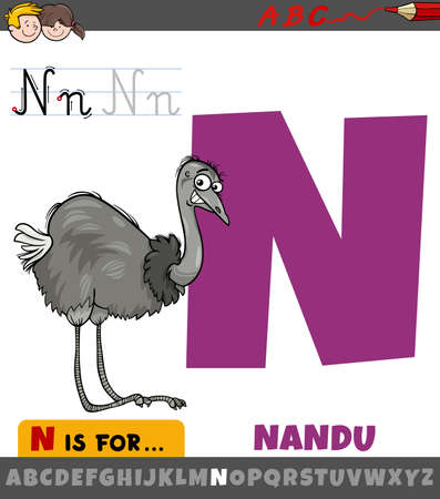 Educational cartoon illustration of letter N from alphabet with nandu bird animal characterのイラスト素材
