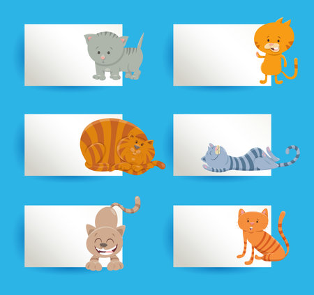 Cartoon illustration of cute cats with white cards or boards greeting or business card design setのイラスト素材