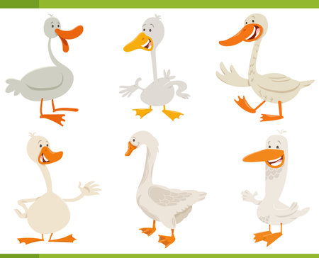 Cartoon illustration of funny geese farm animals comic characters setのイラスト素材