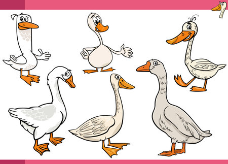 Cartoon illustration of geese farm birds animal characters setのイラスト素材